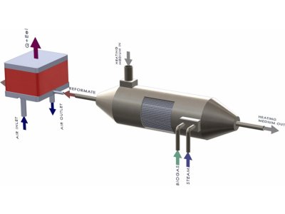 Biofuel steam reforming catalyst for fuel cell application