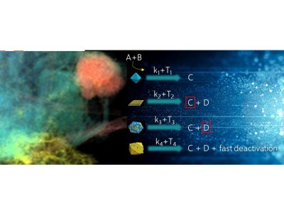 Bimetallic nanocatalysts: shaping performance at the nanoscale