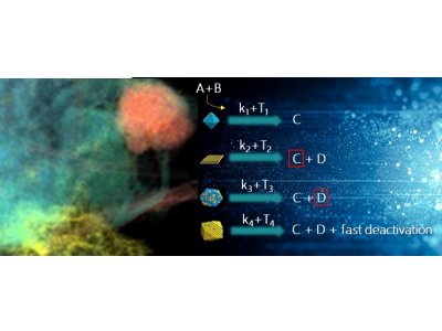 Bimetallic nanocatalysts supported on graphitic carbon nitride for sustainable energy development: the shape-structure–activity relation 